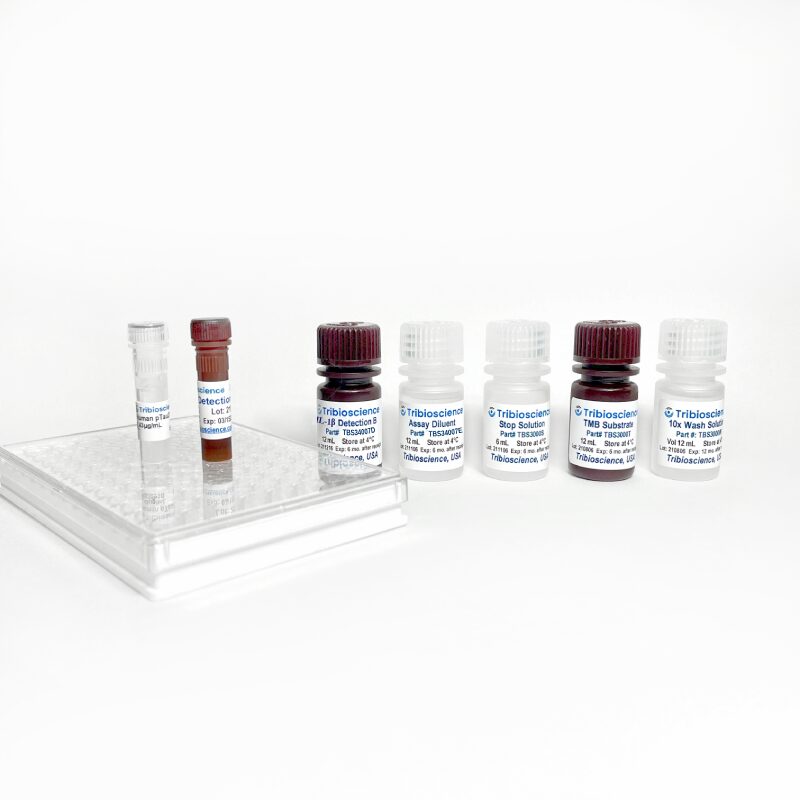 Equine IL-1β ELISA Kit