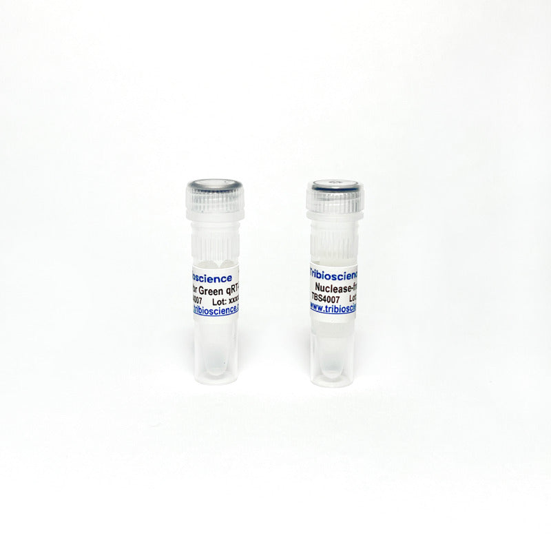 One-Step Sybr qRT-PCR, ROX
