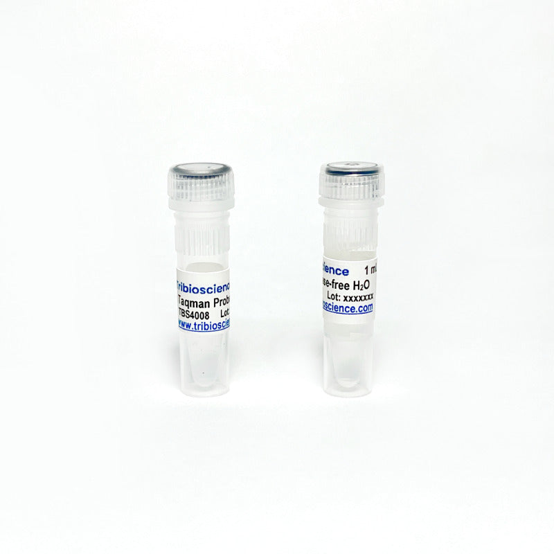 One-Step TaqProbe qRT-PCR Kit, ROX