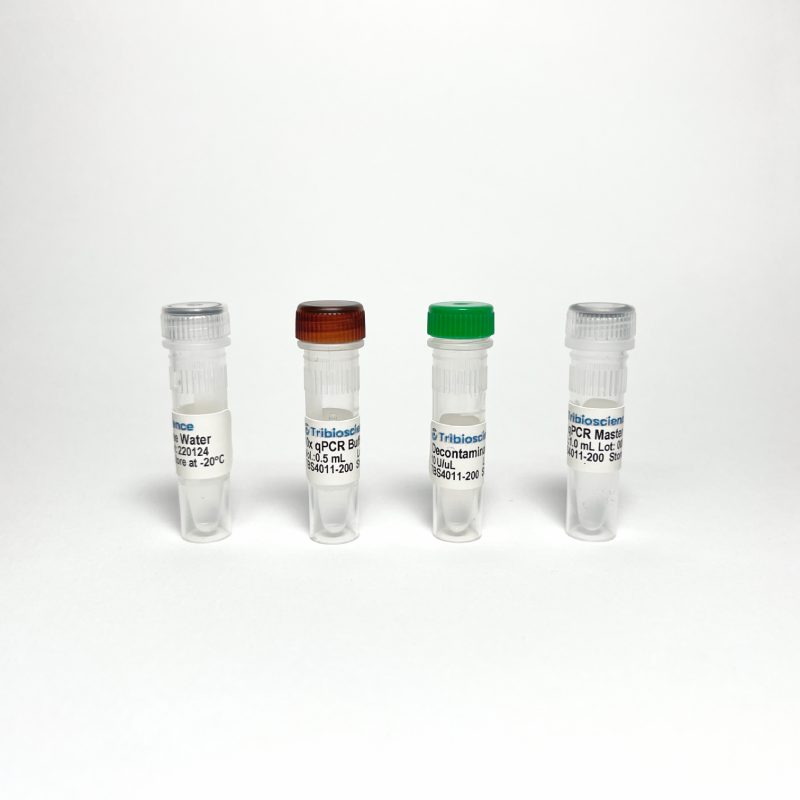 Probe qPCR Master Mix (100 rxns