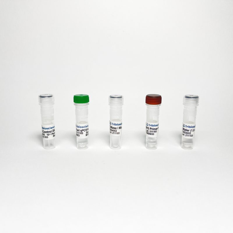 M13 Bacteriophage qPCR Titer