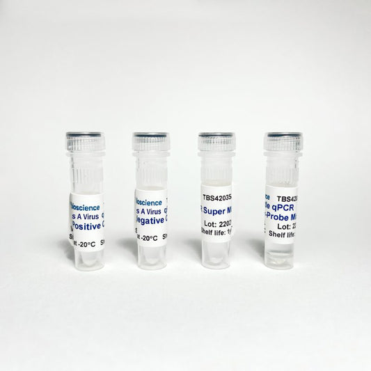 Hepatitis A Virus (HAV) One-step RT-qPCR Detection