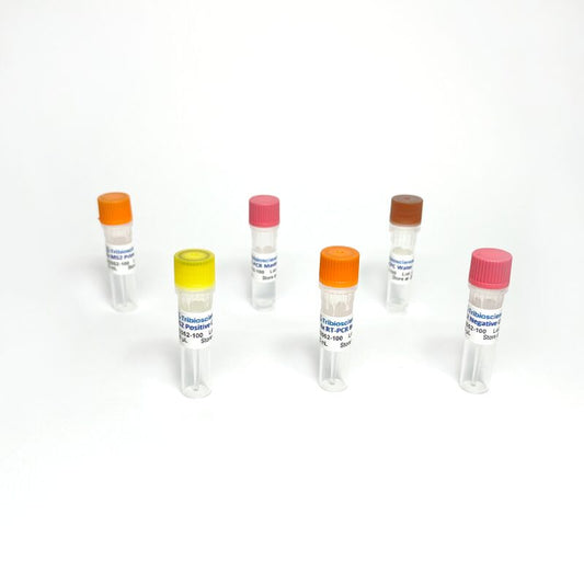 Bacteriophage MS2 RT-PCR Detection