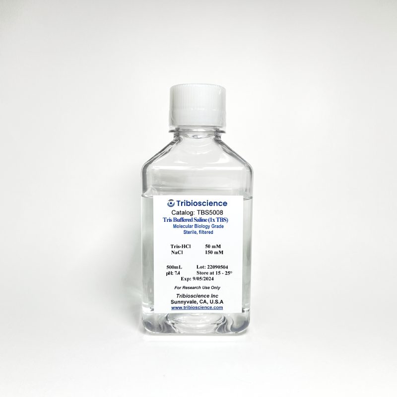 Tris Buffered Saline (1x TBS)