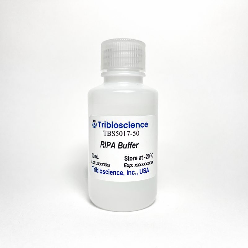 RIPA Buffer