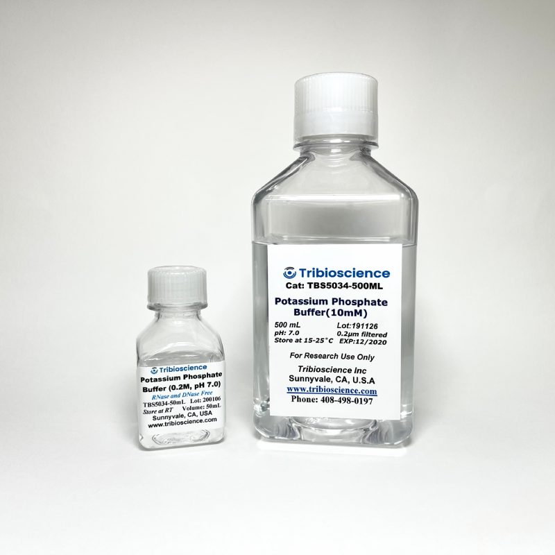 Potassium Phosphate Buffer, 0.2 mM, pH7.0, Sterile
