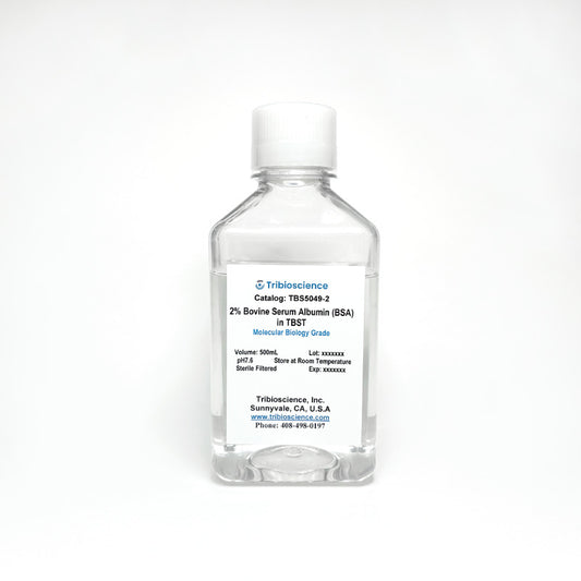 Tribo™ Bovine Serum Albumin 2% in TBST buffer