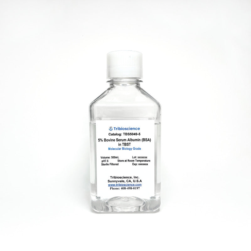 Tribo™ Bovine Serum Albumin 5% in TBST buffer