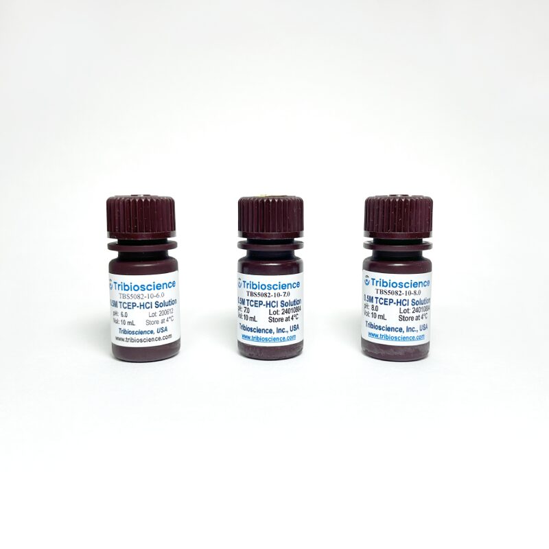 0.5M TCEP-HCl Solution, pH=7.0