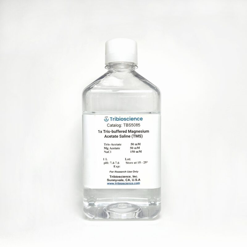 1x Tris-buffered Magnesium Acetate Saline (TMS)