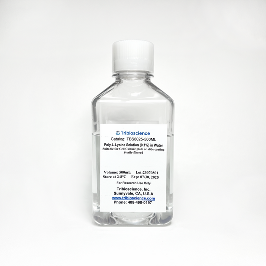 Poly-L-Lysine Solution (0.1%) in Water