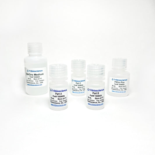 Tribo™ Brown Adipocyte Differentiation Kit