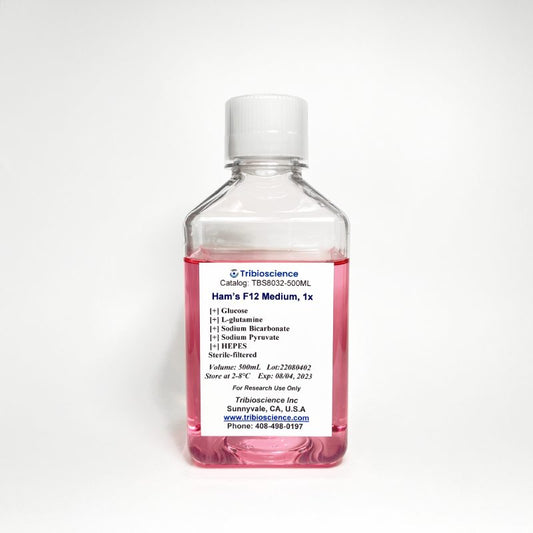 Ham’s F12 medium with L-Glutamine, HEPES and Sodium Pyruvate