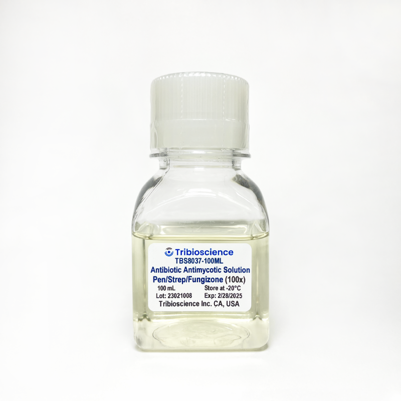 Antibiotic Antimycotic (Pen/Strep/Fungizone) Solution (100x)