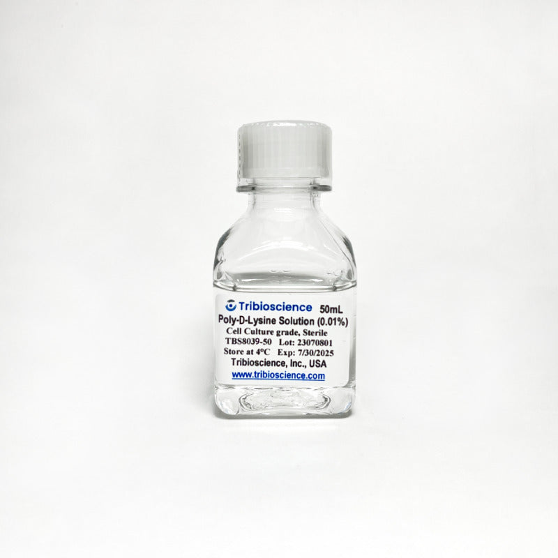 Poly-D-Lysine Solution (0.01%) in PBS, Ready to Use
