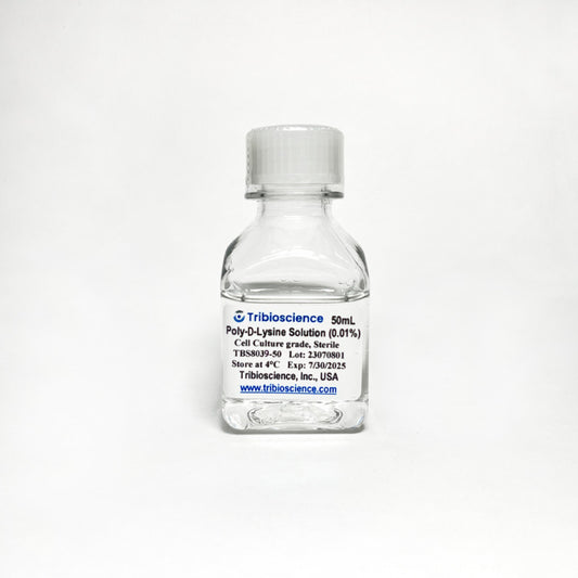 Poly-D-Lysine Solution (0.01%) in PBS, Ready to Use