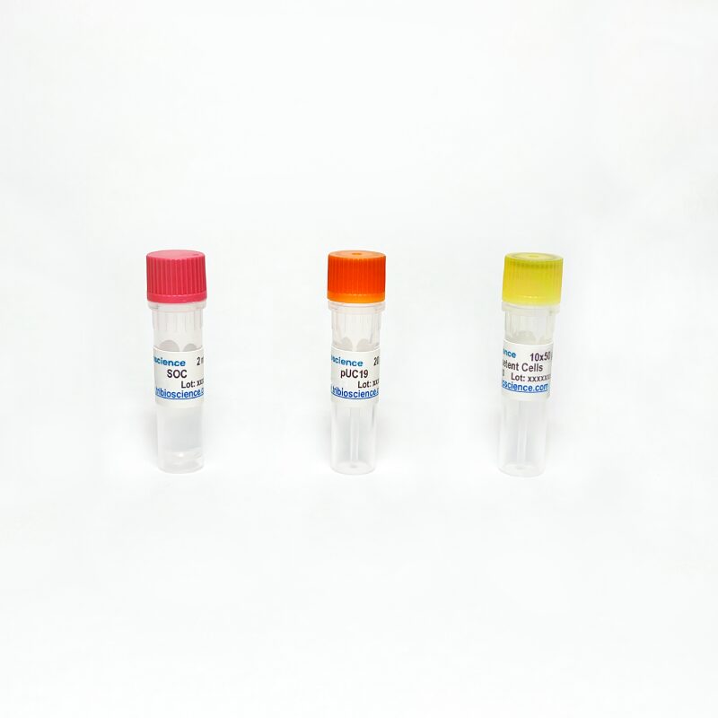 DH10 Competent Cell (10x 50uL), > 10 ^9