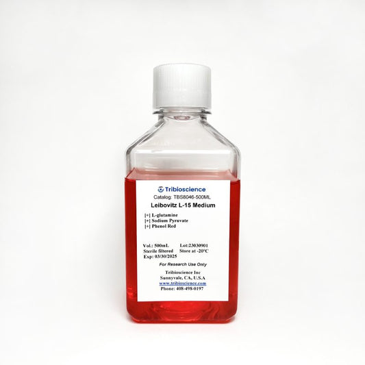 Leibovitz L-15 Medium