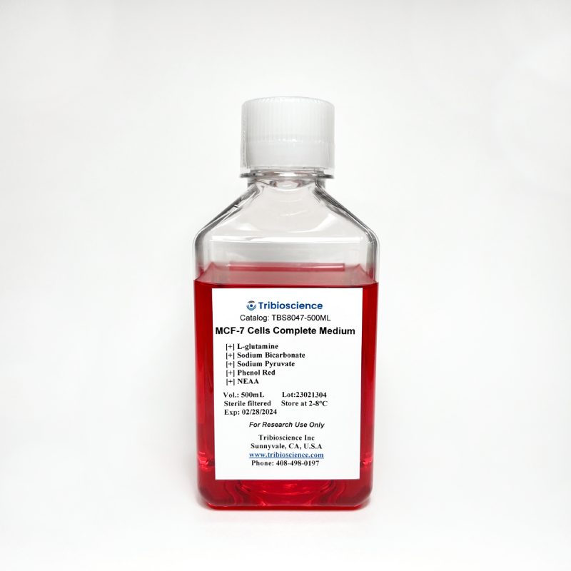 MCF-7 Cell Complete Medium