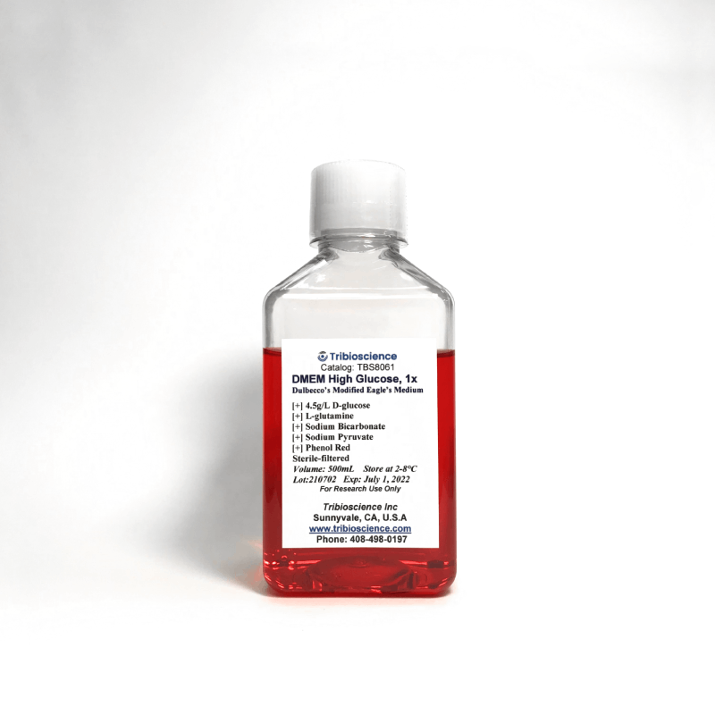 DMEM-high Glucose Medium