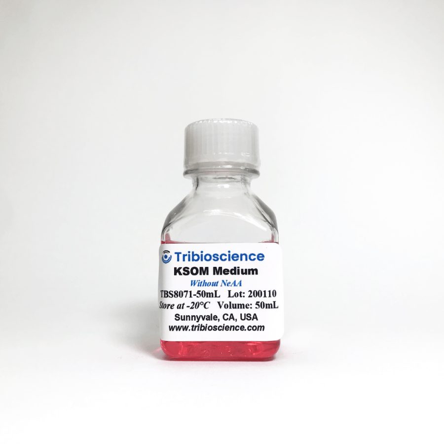KSOM Mouse Embryo Medium without AA