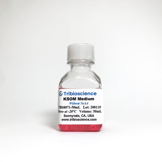 KSOM Mouse Embryo Medium Plus AA