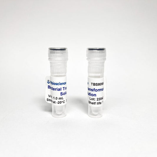 Bacterial Transformation Buffer