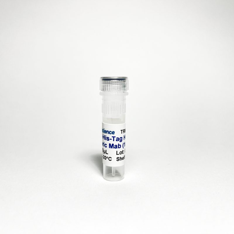 Anti-His-Tag Human Chimeric Monoclonal Antibody