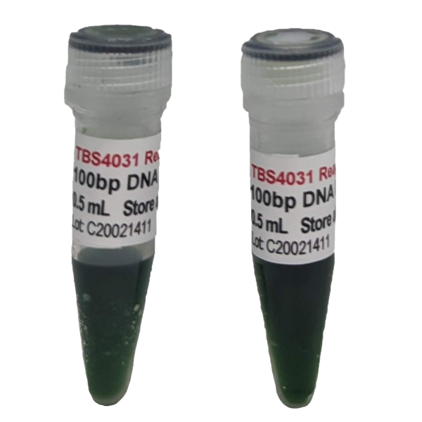 Ready-to-use 100bp DNA ladder