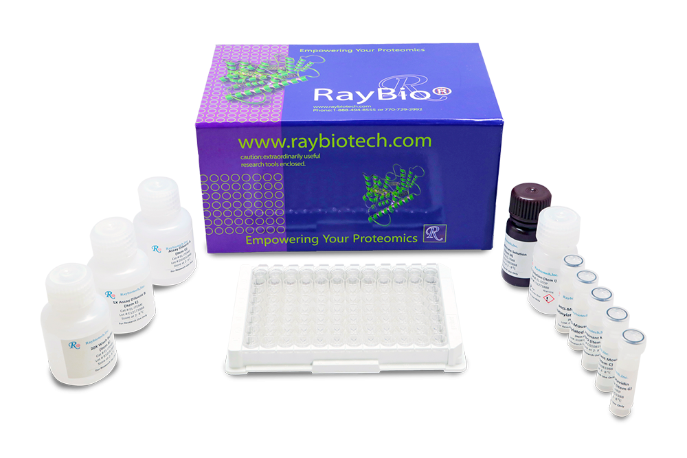 Feline CD8A ELISA Kit