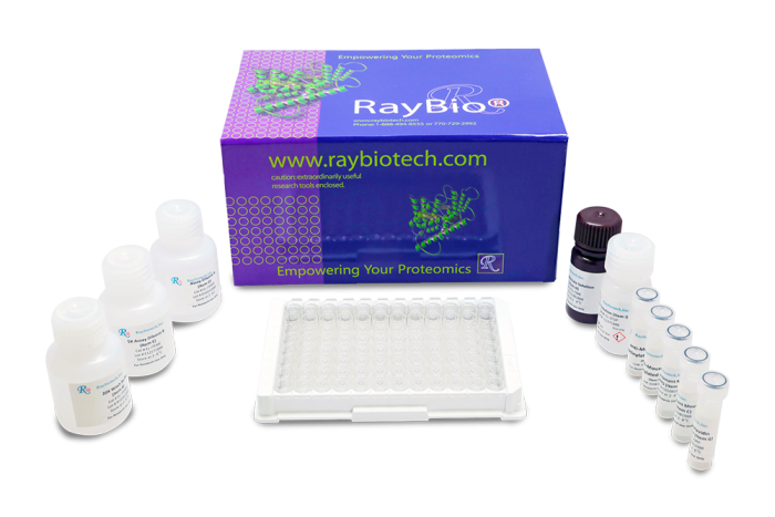 Nipah Virus Glycoprotein (G) Human IgG ELISA Kit
