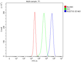 Flow Cytometry analysis of Jurkat cells using anti-NUDT18 antibody. Overlay histogram showing Jurkat