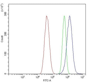 KCNJ16 Antibody / Kir5.1