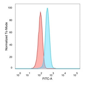 Flow cytometry testing of PFA-fixed human MCF7 cells with SOD1 antibody; Red=isotype control, Blue= 
