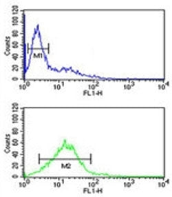 Phospholamban antibody flow cytometric analysis of Jurkat cells (green) compared to a negative contr