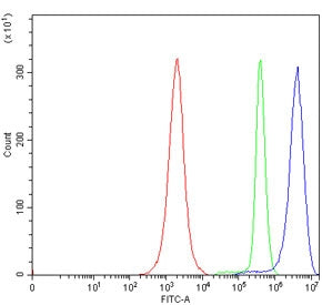Flow cytometry testing of human JK cells with ERG-1 antibody at 1ug/million cells (blocked with goat