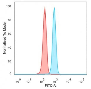 Flow cytometry testing of PFA-fixed human HeLa cells with Forkhead Box I1 antibody (clone PCRP-FOXI1