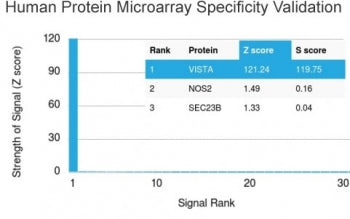 VISTA Antibody / GI24