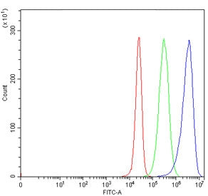 Flow cytometry testing of human 293T cells with ZW10 antibody at 1ug/million cells (blocked with goa