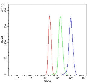 Flow cytometry testing of human U937 cells with TNFRSF1A antibody at 1ug/million cells (blocked with