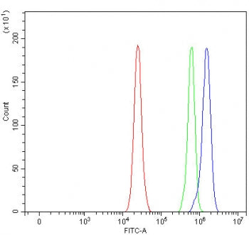 PTPN9 Antibody / PTP-MEG2