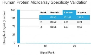Analysis of HuProt(TM) microarray containing more than 19,000 full-length human proteins using Intel