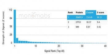 SNAPC4 Antibody
