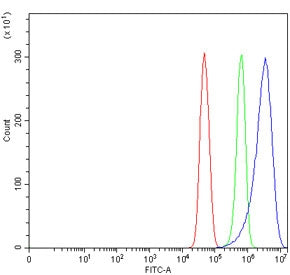 Flow cytometry testing of human U-251 cells with TRAT1 antibody at 1ug/million cells (blocked with g