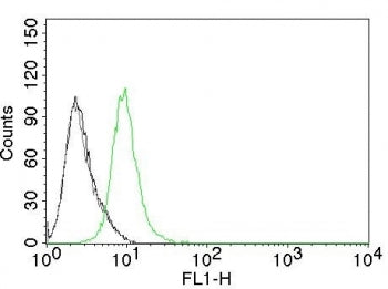 Flow cytometry testing of permeabilized human Jurkat cells. Black: cells alone; Grey: isotype contro