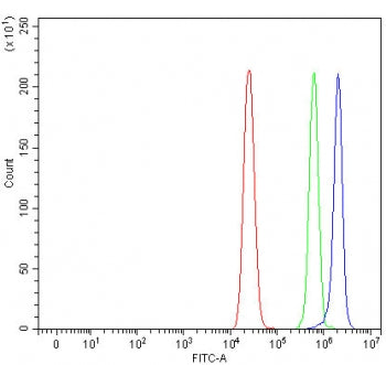 Flow cytometry testing of human MCF7 cells with RNF212B antibody at 1ug/million cells (blocked with 