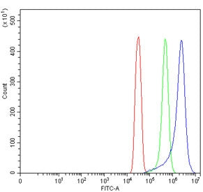 Flow cytometry testing of human SiHa cells with TMEM129 antibody at 1ug/million cells (blocked with 