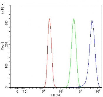 Flow cytometry testing of human HepG2 cells with Sphingosine kinase 1 antibody at 1ug/million cells 