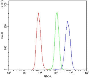 Integrin alpha V Antibody / ITGAV