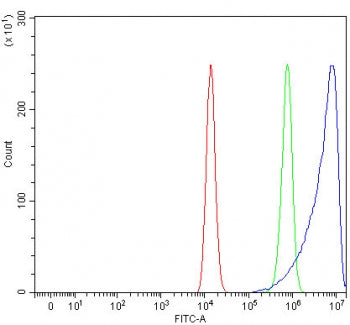 Flow cytometry testing of fixed and permeabilized human HEL cells with C-C chemokine receptor type 4